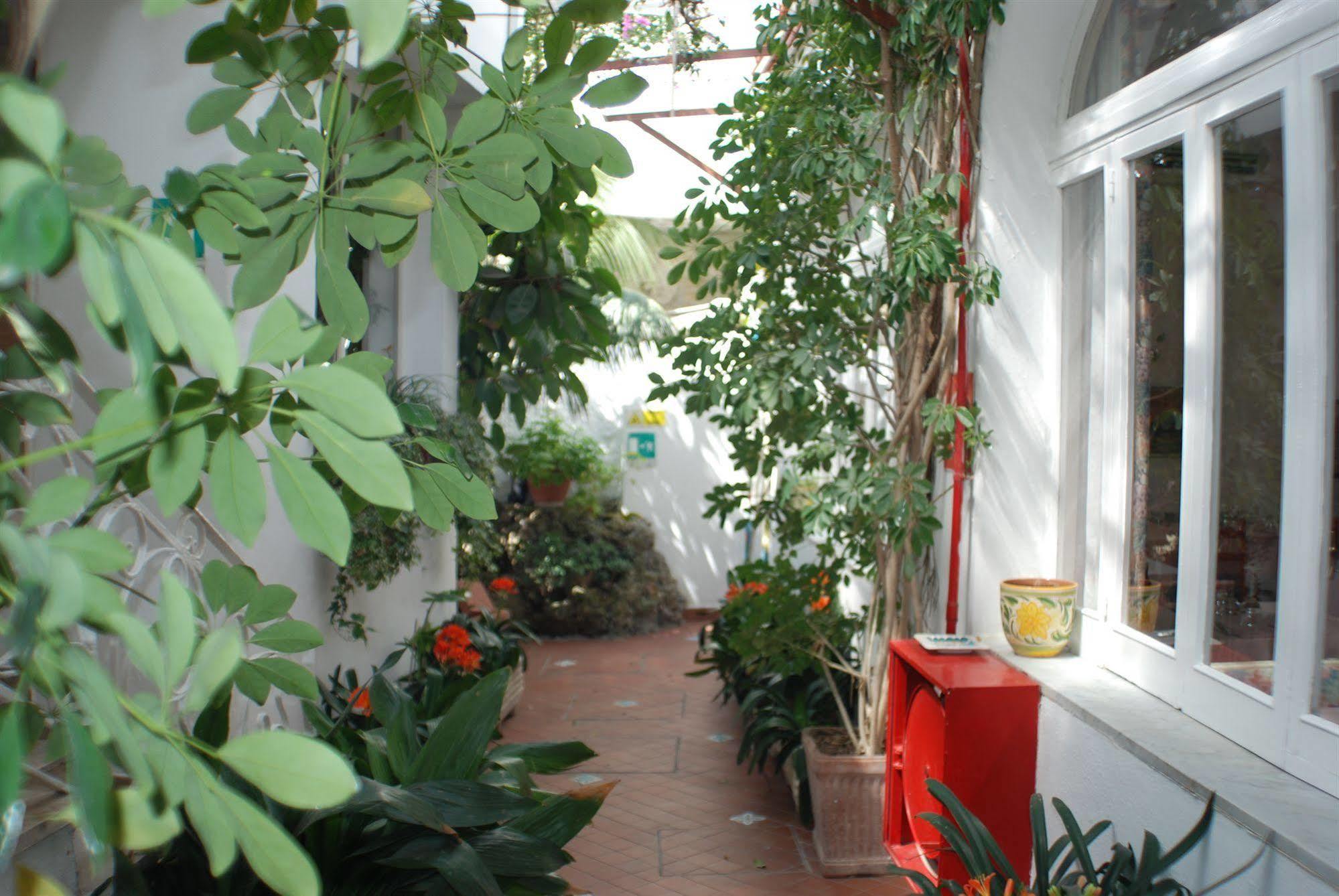 Hotel La Palma Sant'Angelo  Dış mekan fotoğraf