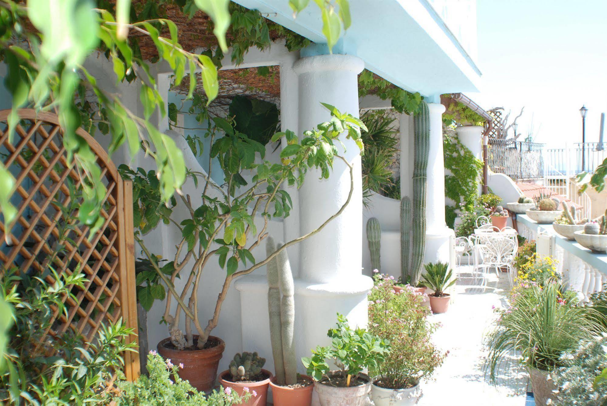 Hotel La Palma Sant'Angelo  Dış mekan fotoğraf